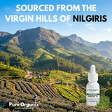 Rosemary Essential Oil – Steam Distilled, Cineole Chemotype - 15ml