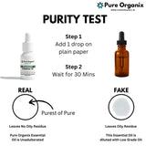 Rosemary Essential Oil – Steam Distilled, Cineole Chemotype - 15ml