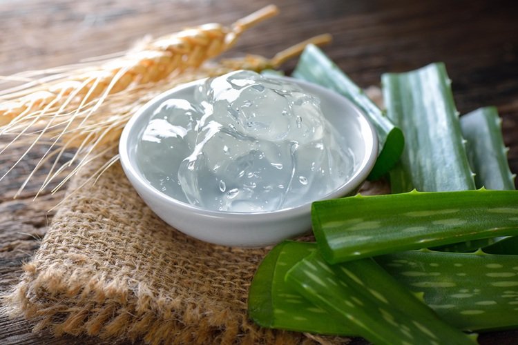 Aloe vera hair gel with rosemary essential oil