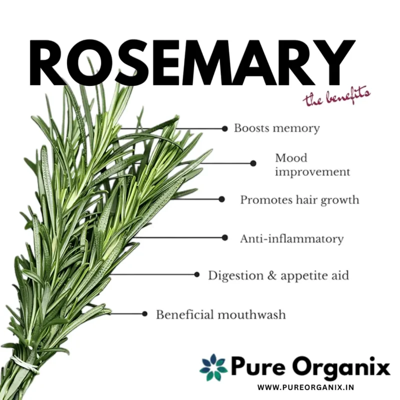 Image of Pure Organix's Rosemary Oil for Hair 15 ml